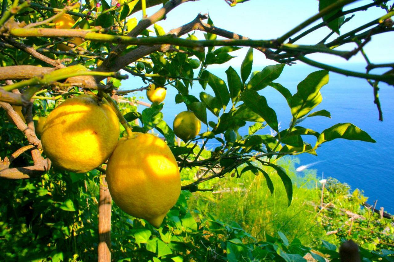 Villa l' ebbrezza di volare Amalfi Esterno foto