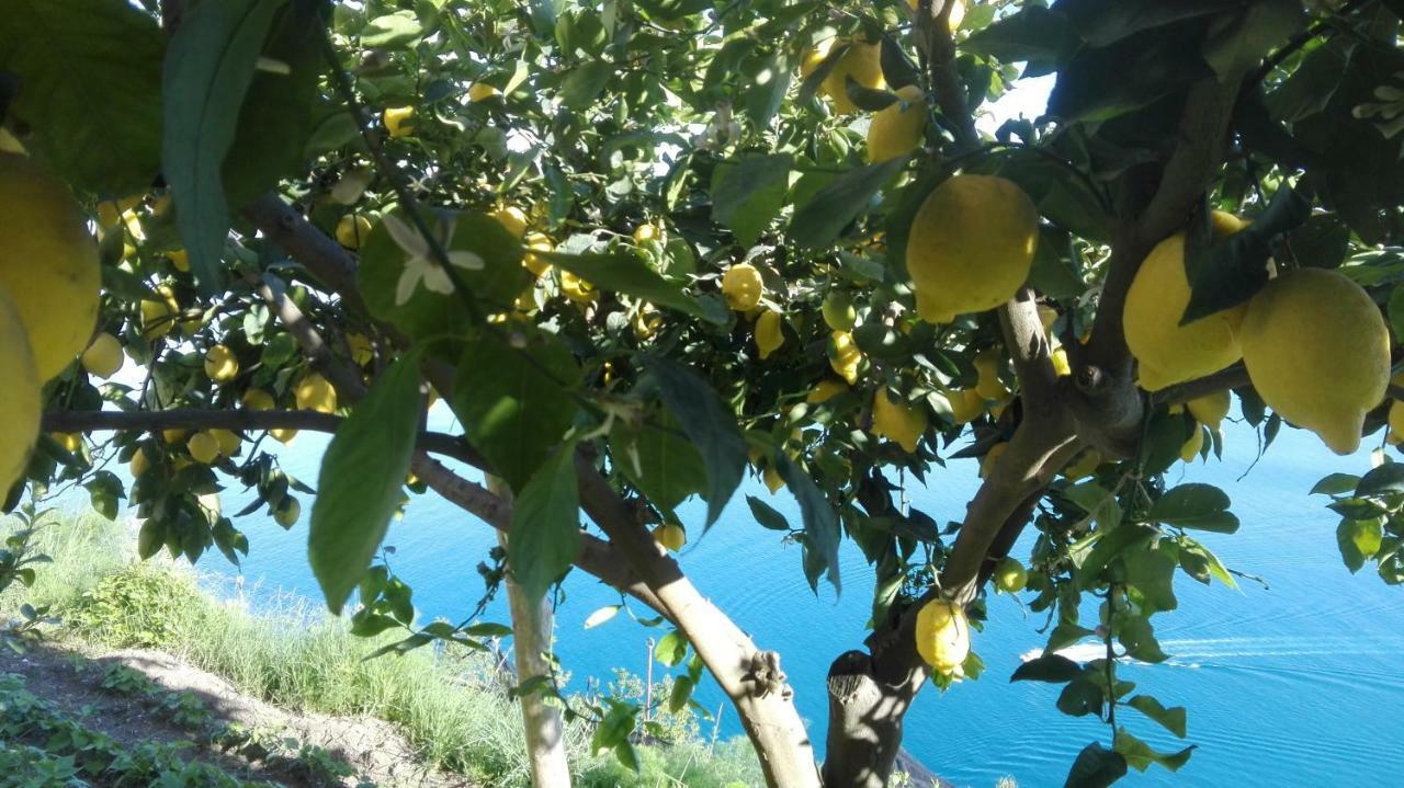 Villa l' ebbrezza di volare Amalfi Esterno foto