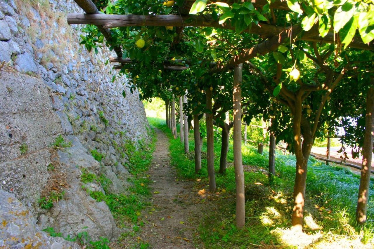Villa l' ebbrezza di volare Amalfi Esterno foto